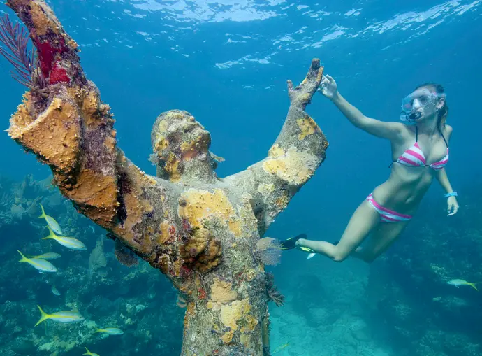 john pennekamp coral reef john pennekamp coral reef