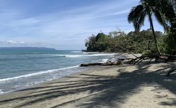 Playa Matapalo Playa Matapalo