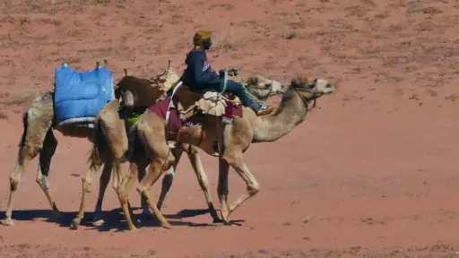 Désert du Wadi Rum avec les Bédouins