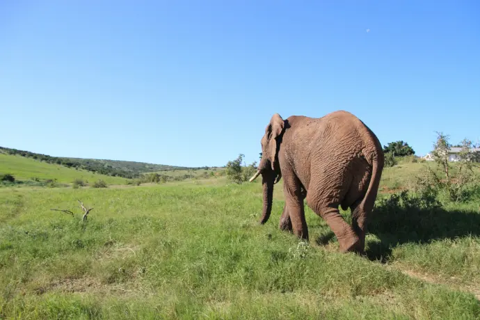 Afrique du Sud